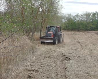 Die Grundstücksfläche wurde gerodet und aufbereitet.