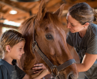 Tiergestützte Therapie