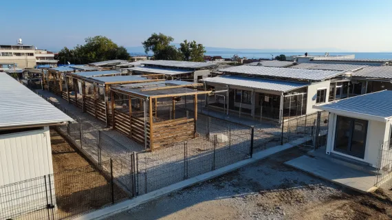 Erhaltung Tierheim Varna